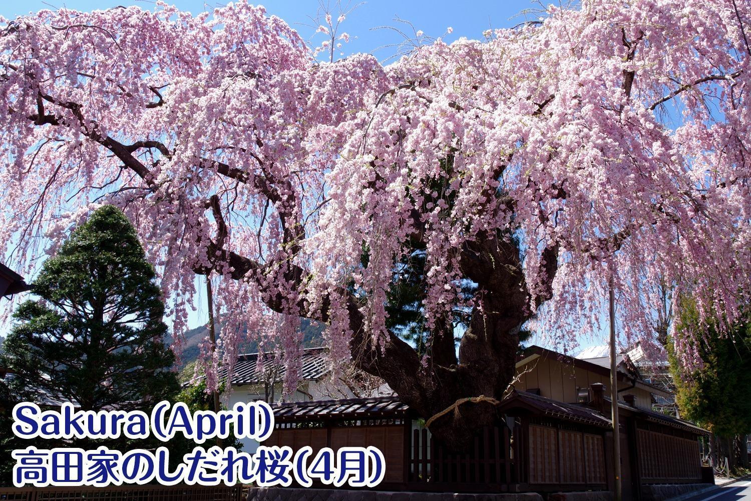 Nikko Stay House Arai - Vacation Stay 14988V Eksteriør bilde